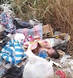 Il ritrovamento di Théodore - gennaio 2026